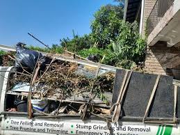 Best Recycling Services for Junk  in Greenwood, SC