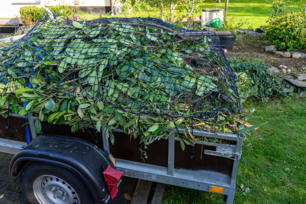 Best Same-Day Junk Removal Services  in Greenwood, SC